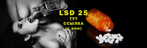 крисы Дмитров