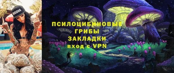 крисы Дмитров