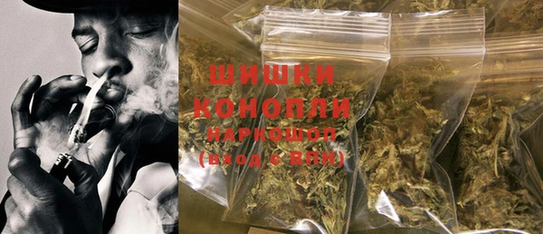 крисы Дмитров