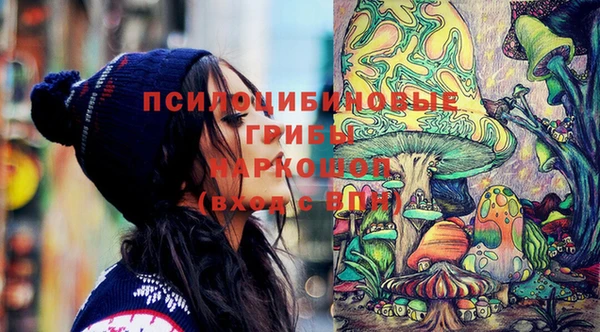 крисы Дмитров