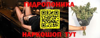 наркотики Будённовск