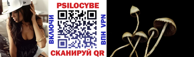 Псилоцибиновые грибы GOLDEN TEACHER  Заводоуковск 