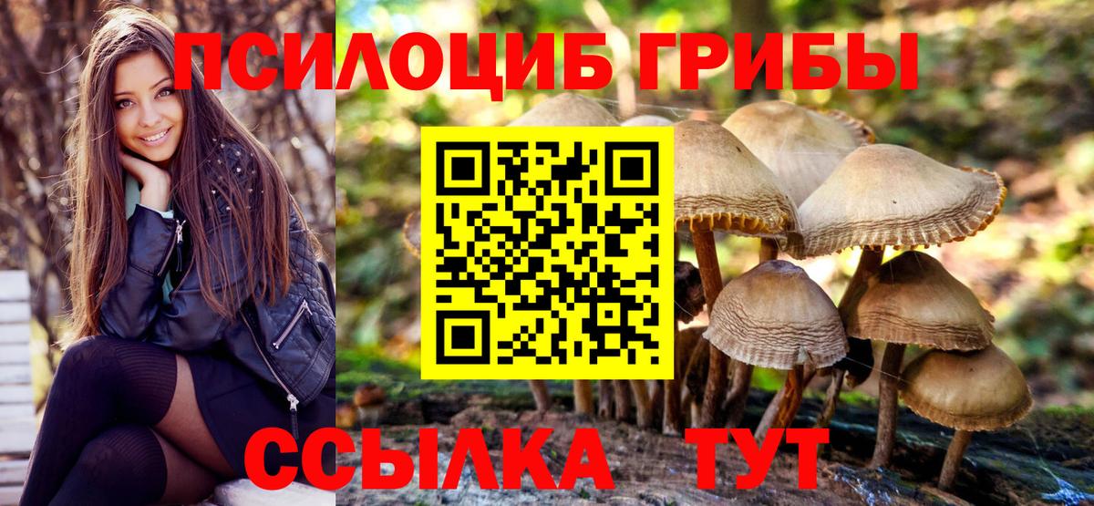 купить  цена  Галлюциногенные грибы Psilocybine cubensis  Вход с VPN  Заводоуковск 