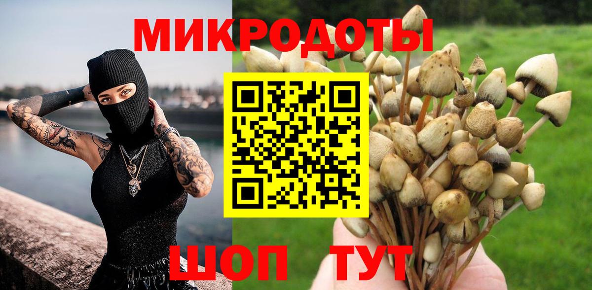 Галлюциногенные грибы мухоморы  Заводоуковск  наркотики  Псилоцибиновые грибы Magic Shrooms 