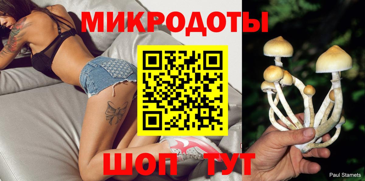 Псилоцибиновые грибы Psilocybine cubensis Заводоуковск